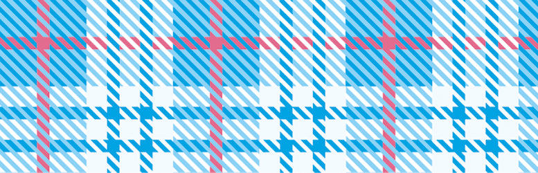 mt 1D check light blue