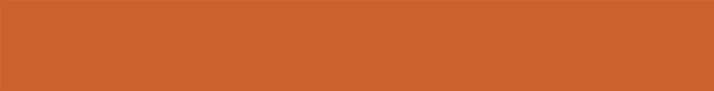 mt 1P matte burnt orange
