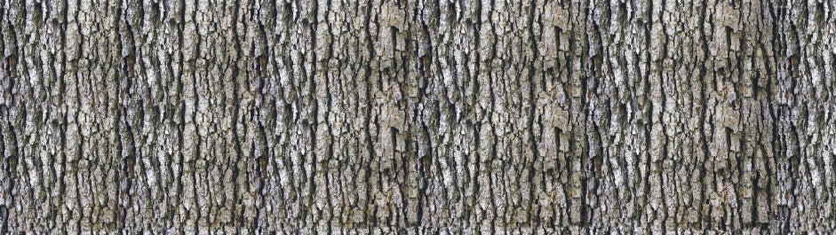 mt remake sheet bark
