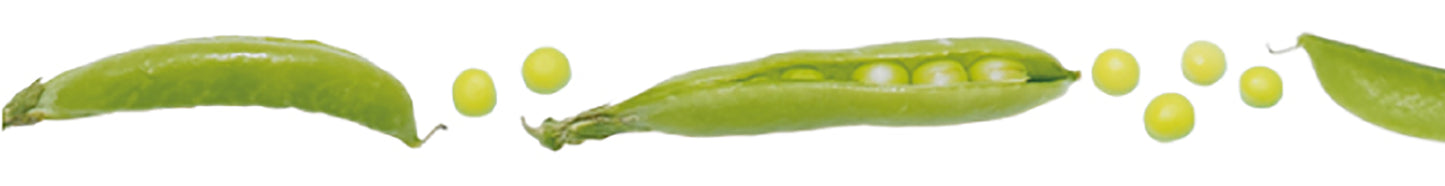 mt ex snap pea