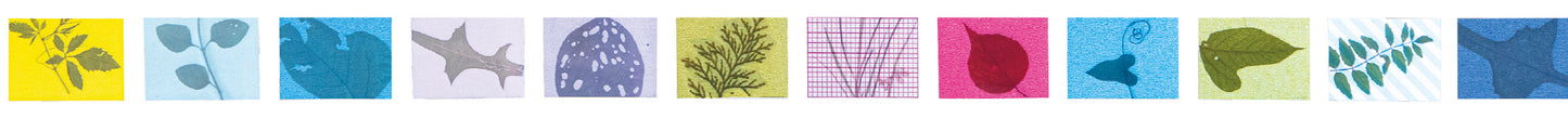 Island universe Flag leaf L
