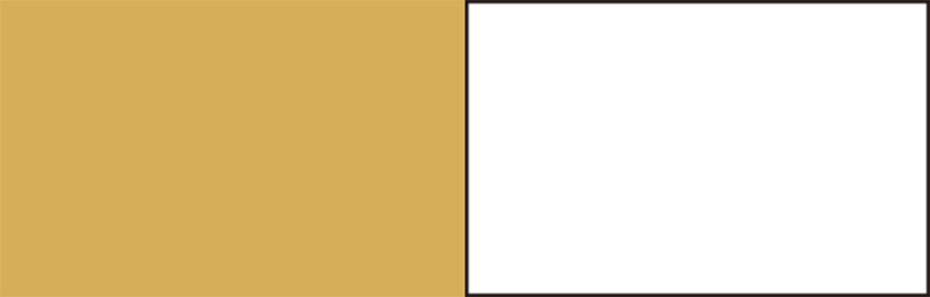 Dispenser twins ivory x white