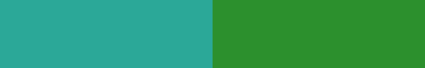 Dispenser magnetico 2tone peacock x green