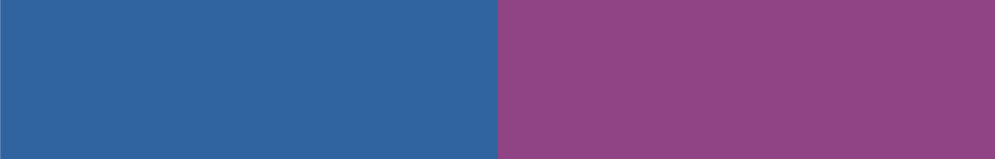 Dispenser magnetico 2tone cobalt x grape