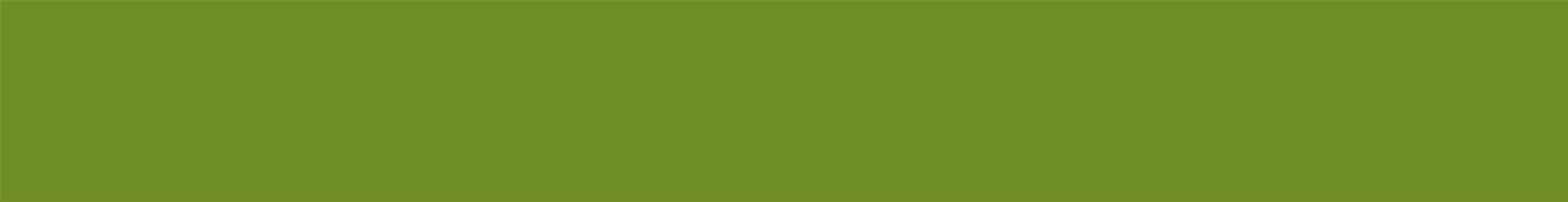mt 1P matte olive green