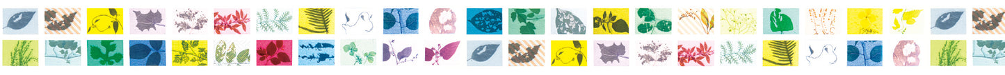 Island universe Flag leaf S